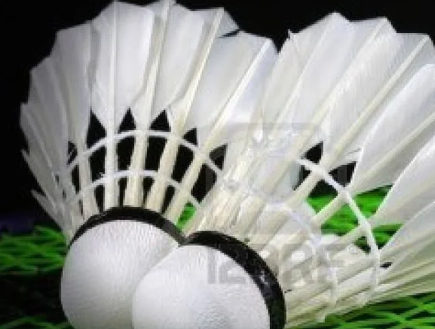 Health - badminton shuttlecocks on a racquet